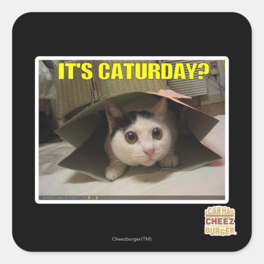 Sticker Carré C'est Caturday ? (Devant)
