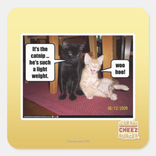 Sticker Carré C'est le catnip (Devant)