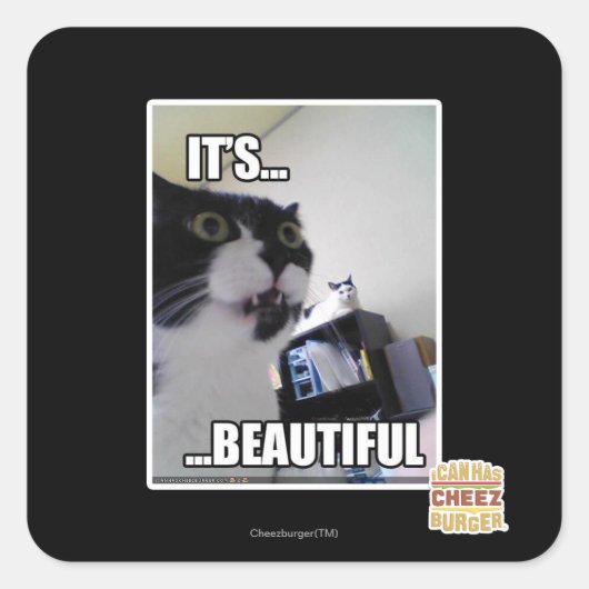 Sticker Carré C'est magnifique (Devant)