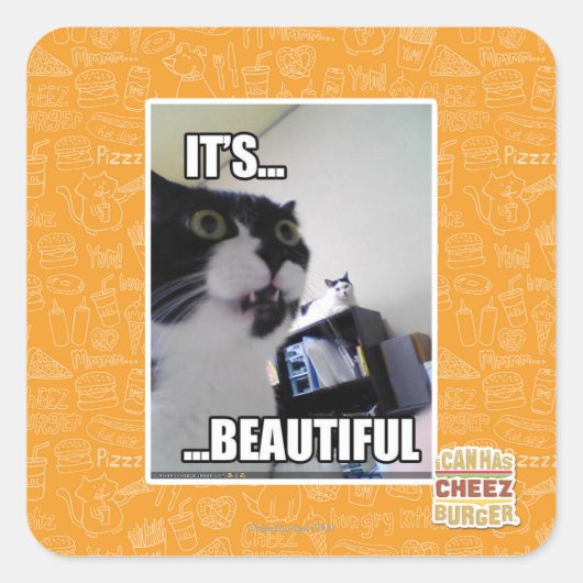 Sticker Carré C'est magnifique (Devant)