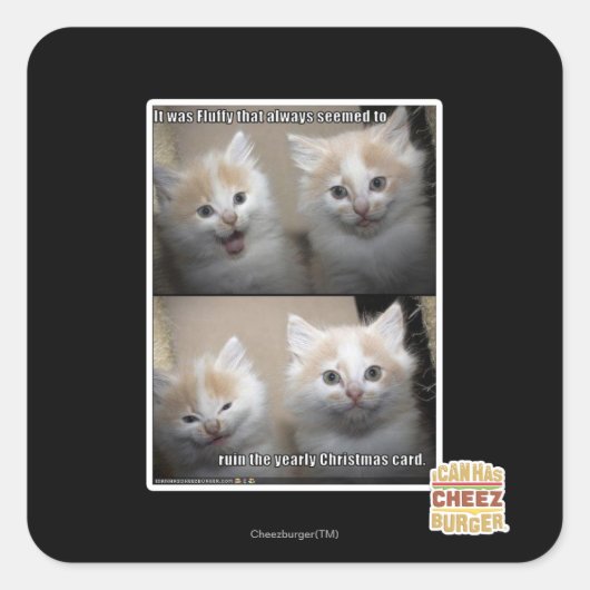 Sticker Carré C'était Fluffy (Devant)