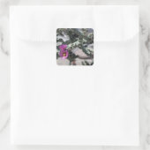 Sticker Carré Challa Cactus en fleurs (Sac)