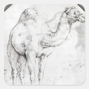 Sticker Carré Chameau