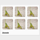 Sticker Carré Chameleon (Feuille)