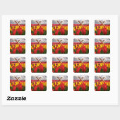 Sticker Carré Champ de Tulipe rouge, fleurs de l'Oregon (Feuille)