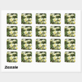 Sticker Carré Champ de tulipes blanches (Feuille)