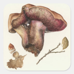 Sticker Carré Champignon