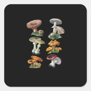 Sticker Carré Champignons Cottagecore Goblincore Esthétique Cham