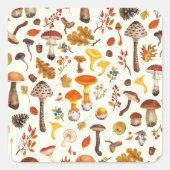 Sticker Carré Champignons sauvages sur blanc (Devant)