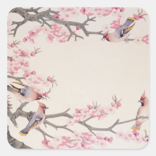 Sticker Carré Chanter des oiseaux au printemps (Devant)