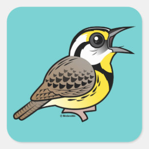 Sticker Carré Chanter Eastern Meadowlark