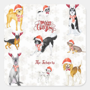 Sticker Carré Chapeau de Noël doux Chiens Monogramme