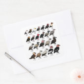 Sticker Carré Chaque vautour (Enveloppe)