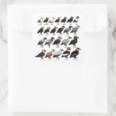 Sticker Carré Chaque vautour (Sac)