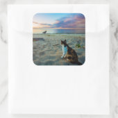 Sticker Carré Chat Assis Sur Une Plage (Sac)