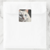 Sticker Carré Chat blanc (Sac)