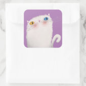Sticker Carré Chat blanc (Sac)