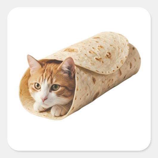 Sticker Carré Chat Burrito Drôle Design de Chat Emballé Mème (Devant)