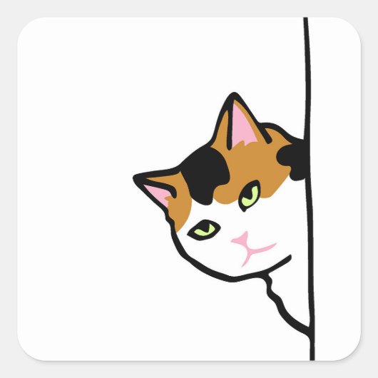 Sticker Carré Chat Chaton (Devant)