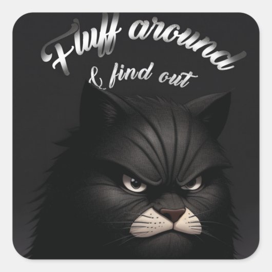 Sticker Carré Chat, Chaton, Fluff Autour Et Découvrez Funny (Devant)