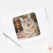 Sticker Carré Chat clown (Enveloppe)