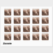 Sticker Carré Chat couché (Feuille)