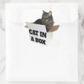 Sticker Carré Chat dans une boîte ! (Sac)