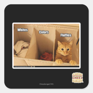 Sticker Carré Chat de blanchisserie
