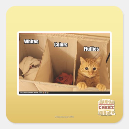Sticker Carré Chat de blanchisserie (Devant)