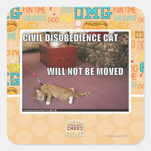 Sticker Carré Chat de désobéissance civile (Devant)
