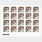 Sticker Carré Chat de poupée en carton (Feuille)