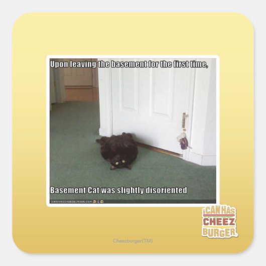 Sticker Carré Chat de sous-sol, légèrement désorienté (Devant)