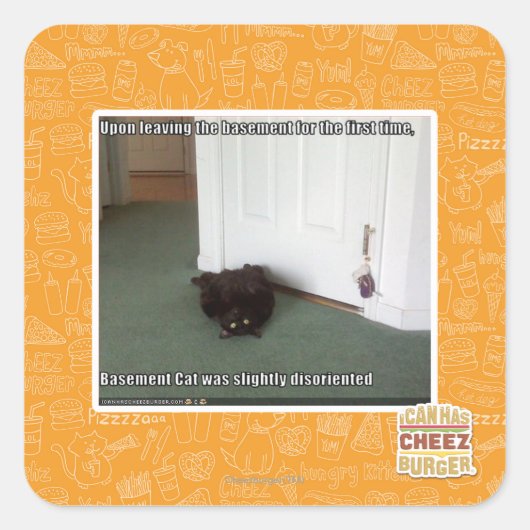 Sticker Carré Chat de sous-sol, légèrement désorienté (Devant)