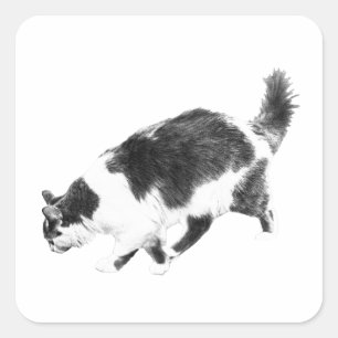 Sticker Carré Chat d'Halloween en lignes noires