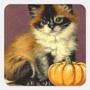 Sticker Carré Chat d'Halloween Ragdoll vintage