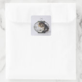 Sticker Carré Chat en cage (Sac)