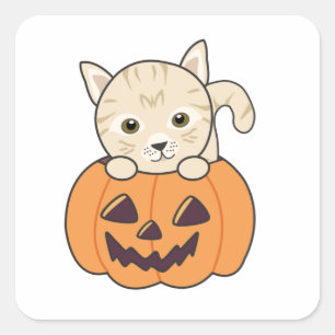 Sticker Carré Chat En Citrouille Chats Doux Joyeux Halloween