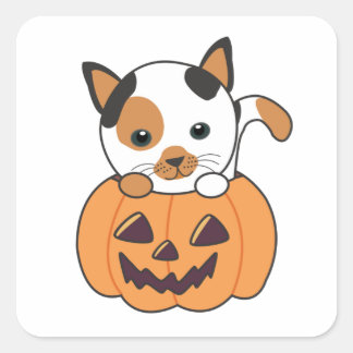 Sticker Carré Chat En Citrouille Chats Doux Joyeux Halloween