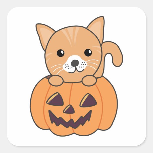 Sticker Carré Chat En Citrouille Chats Doux Joyeux Halloween Car (Devant)
