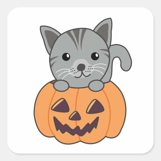 Sticker Carré Chat En Citrouille Chats Doux Joyeux Halloween Car (Devant)