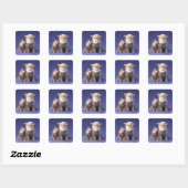 Sticker Carré Chat et chien avec masques (Feuille)