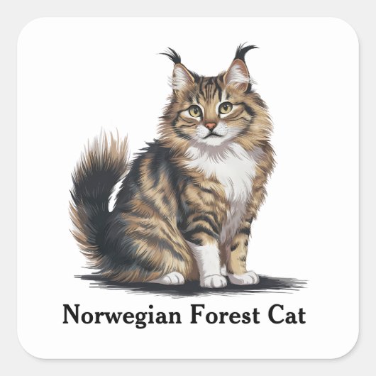 Sticker Carré Chat forestier norvégien (Devant)