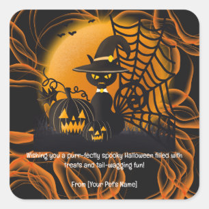 Sticker Carré Chat Halloween Animaux de compagnie en costumes éf