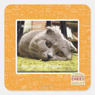 Sticker Carré Chat heureux, hors d'heureux