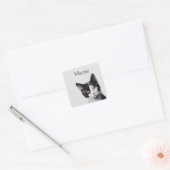 Sticker Carré Chat Kitty blanc gris noir (Enveloppe)