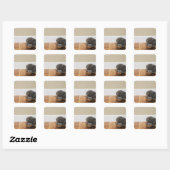 Sticker Carré Chat mangeant dans un bol (Feuille)