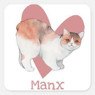 Sticker Carré Chat Manx Aquarelle Kitty Coeur rose