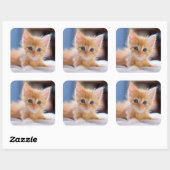 Sticker Carré Chat mignonne aux yeux bleus (Feuille)