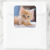 Sticker Carré Chat mignonne aux yeux bleus (Sac)