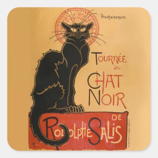 Sticker Carré Chat noir (Devant)